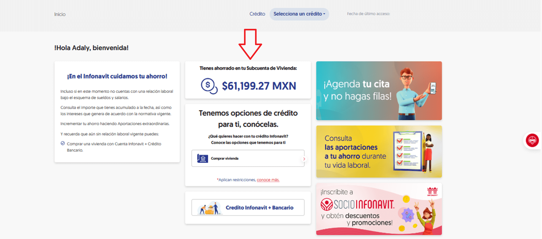 Ve a tu subcuenta de vivienda Infonavit