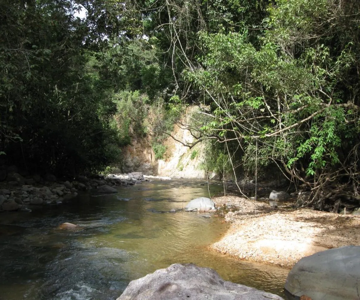 Terreno En Venta,San Sebastián del Oeste,Terreno Jalisco S/N, San Sebastián del Oeste, Jalisco 46998,Terreno Jalisco ,p1Ei9aa