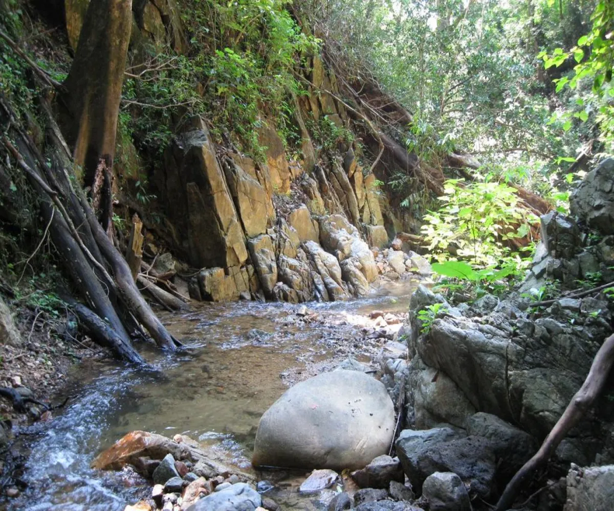 Terreno En Venta,San Sebastián del Oeste,Terreno Jalisco S/N, San Sebastián del Oeste, Jalisco 46998,Terreno Jalisco ,p1Ei9aa