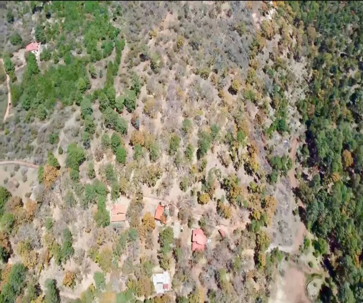 Terreno En Venta,Los Espinos,Tapalpa S/N, Tapalpa, Jalisco 49346,Tapalpa,pHwwavt