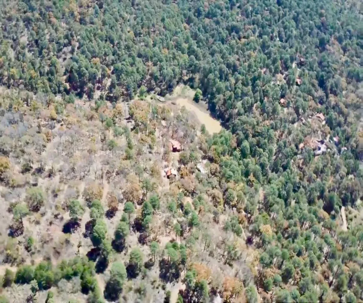 Terreno En Venta,Los Espinos,Tapalpa S/N, Tapalpa, Jalisco 49346,Tapalpa,pHwwavt