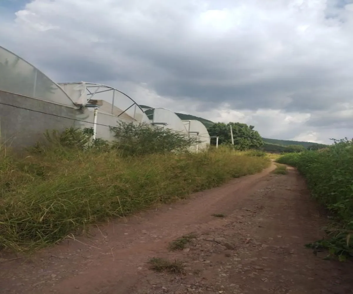Terreno En Venta,Centro Unión de Tula,CARRETERA A AUTLAN S/N, Unión de Tula, Jalisco 48000,CARRETERA A AUTLAN ,p1ndh4F