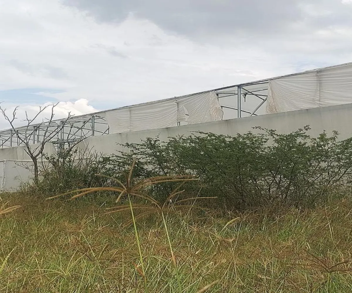 Terreno En Venta,Centro Unión de Tula,CARRETERA A AUTLAN S/N, Unión de Tula, Jalisco 48000,CARRETERA A AUTLAN ,p1ndh4F