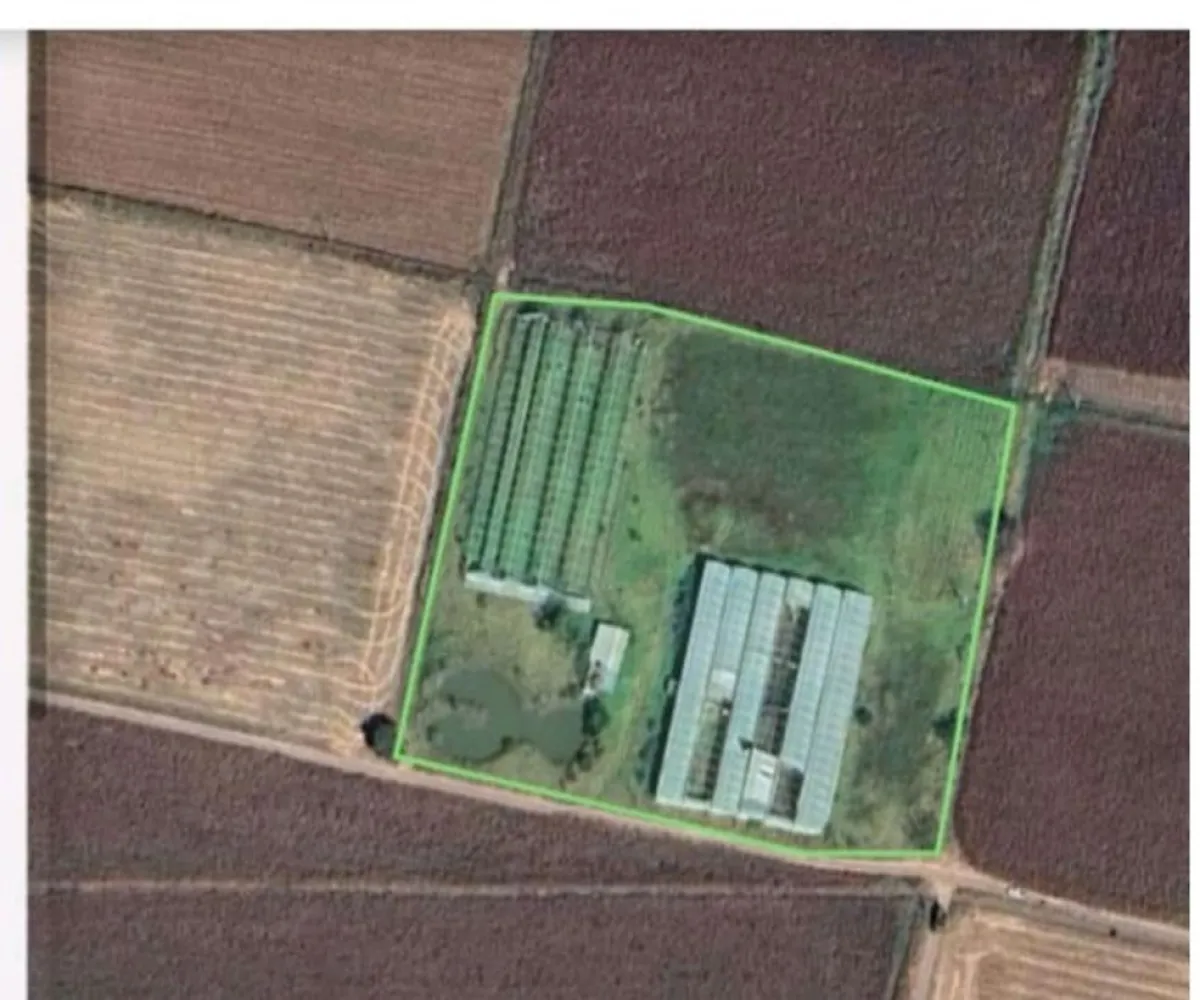 Terreno En Venta,Centro Unión de Tula,CARRETERA A AUTLAN S/N, Unión de Tula, Jalisco 48000,CARRETERA A AUTLAN ,p1ndh4F