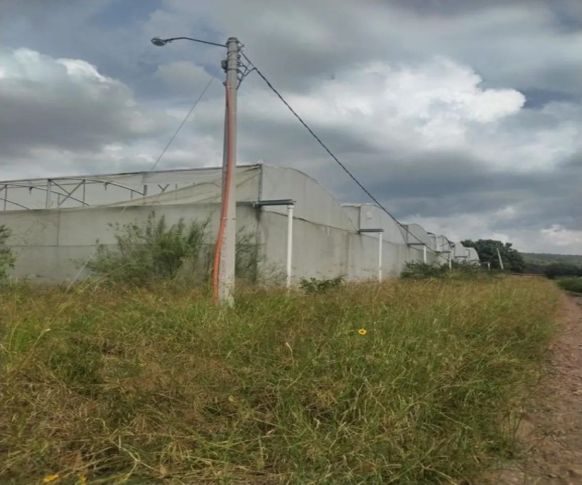 Terreno En Venta,Centro Unión de Tula,CARRETERA A AUTLAN S/N, Unión de Tula, Jalisco 48000,CARRETERA A AUTLAN ,p1ndh4F