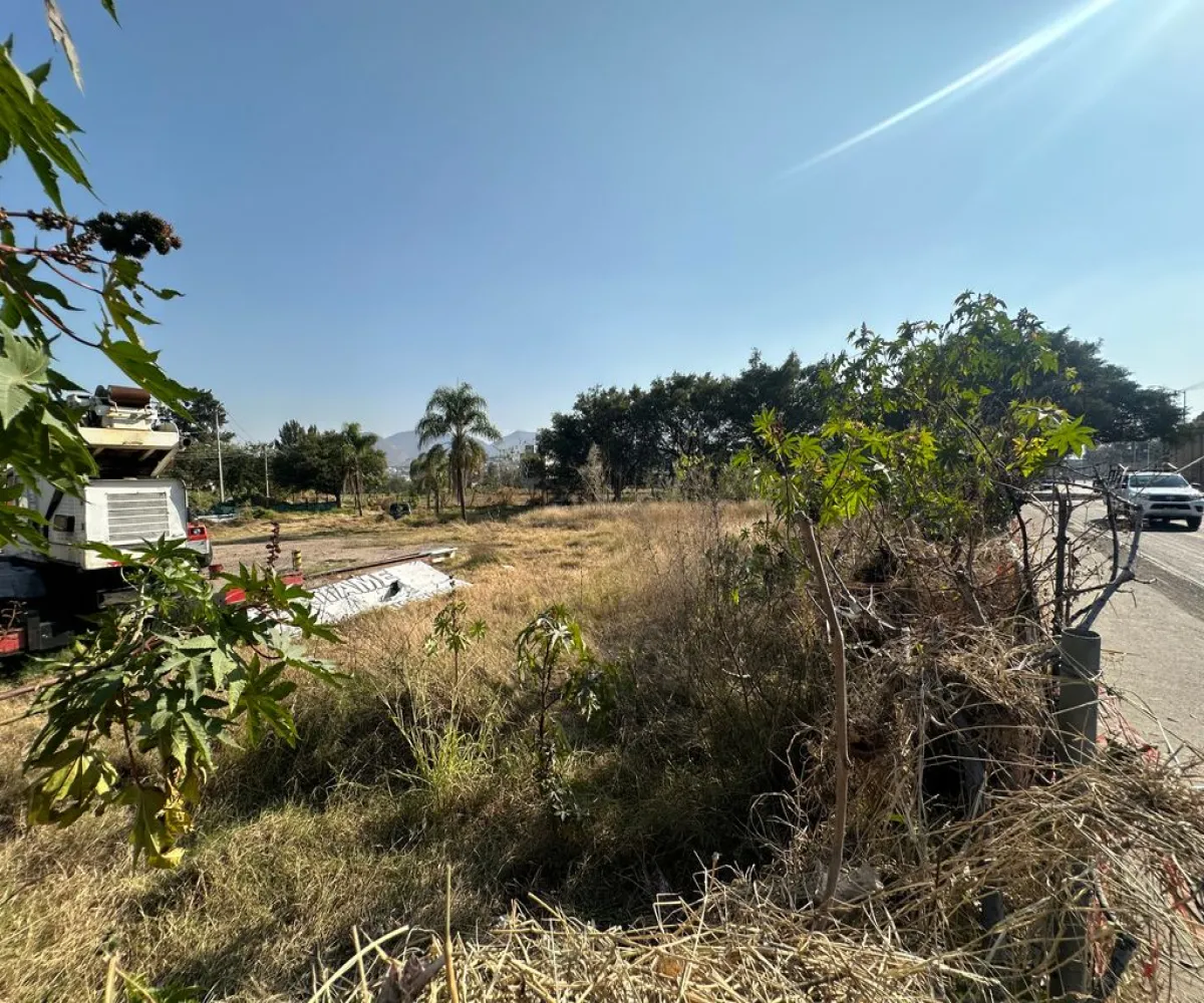 Terreno En Renta,San Agustín,Av. Camino Real a Colima 1050, Tlajomulco de Zúñiga, Jalisco 45645,Av. Camino Real a Colima ,pc3AO9Z
