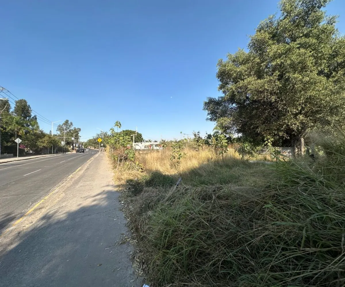 Terreno En Renta,San Agustín,Av. Camino Real a Colima 1050, Tlajomulco de Zúñiga, Jalisco 45645,Av. Camino Real a Colima ,pc3AO9Z