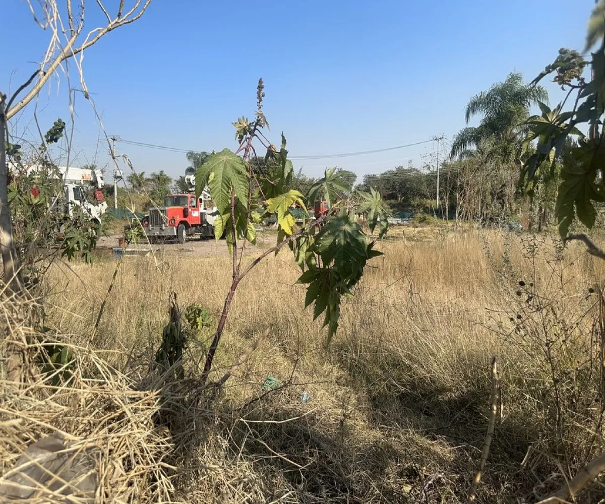 Terreno En Renta,San Agustín,Av. Camino Real a Colima 1050, Tlajomulco de Zúñiga, Jalisco 45645,Av. Camino Real a Colima ,pc3AO9Z