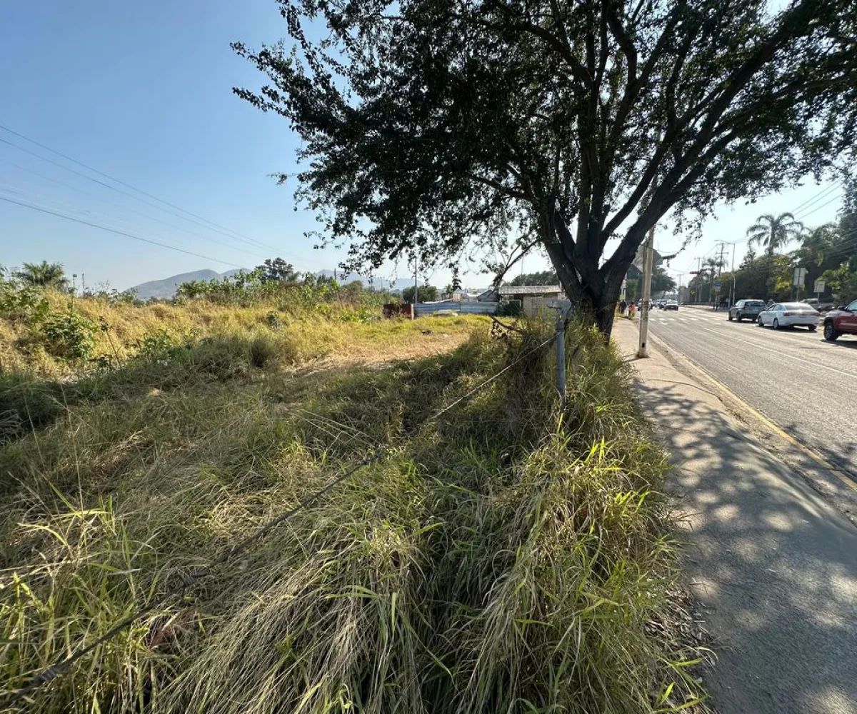 Terreno En Renta,San Agustín,Av. Camino Real a Colima 1050, Tlajomulco de Zúñiga, Jalisco 45645,Av. Camino Real a Colima ,pc3AO9Z
