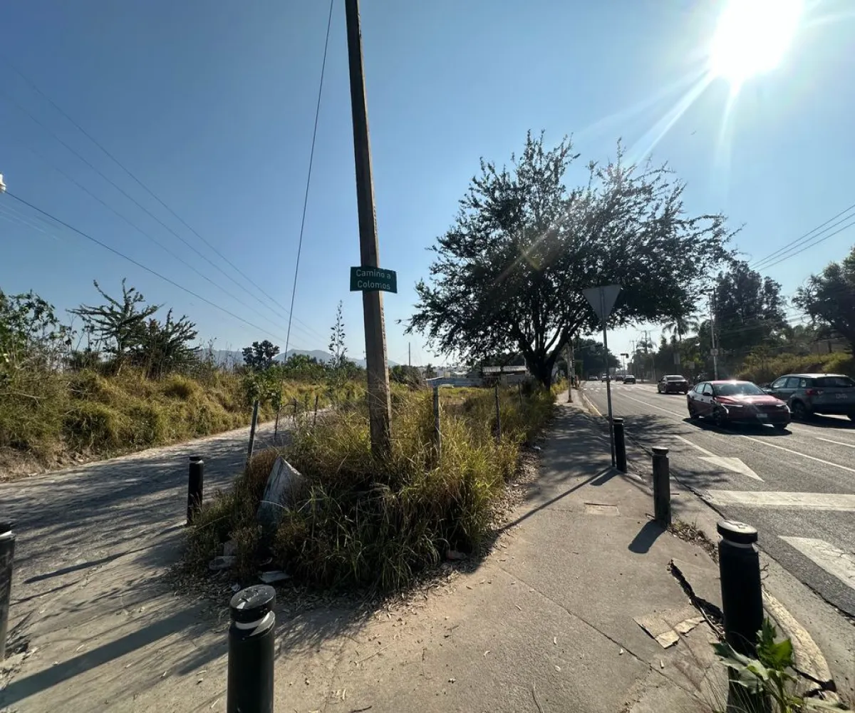Terreno En Renta,San Agustín,Av. Camino Real a Colima 1050, Tlajomulco de Zúñiga, Jalisco 45645,Av. Camino Real a Colima ,pc3AO9Z