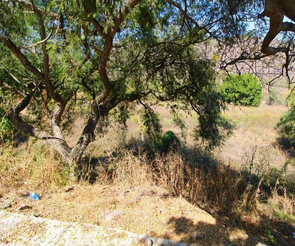 Terreno En Venta,Brisas de Chapala,Carretera Guadalajara-Chapala Km 39 S/N, Chapala, Jalisco 45980,Carretera Guadalajara-Chapala Km 39,1,p11rh3y
