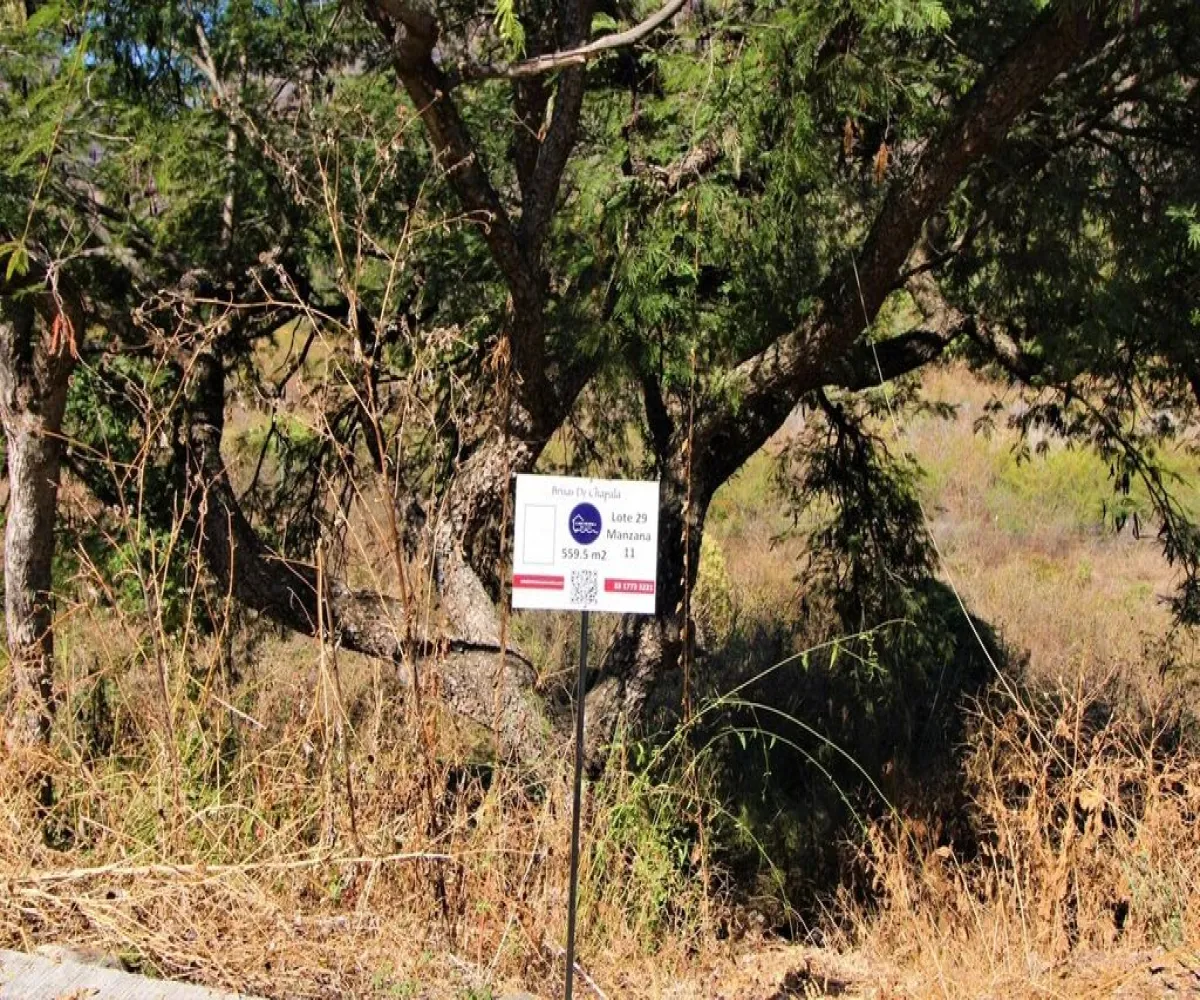 Terreno En Venta,Brisas de Chapala,Carretera Guadalajara-Chapala Km 39 S/N, Chapala, Jalisco 45980,Carretera Guadalajara-Chapala Km 39,1,p11rh3y