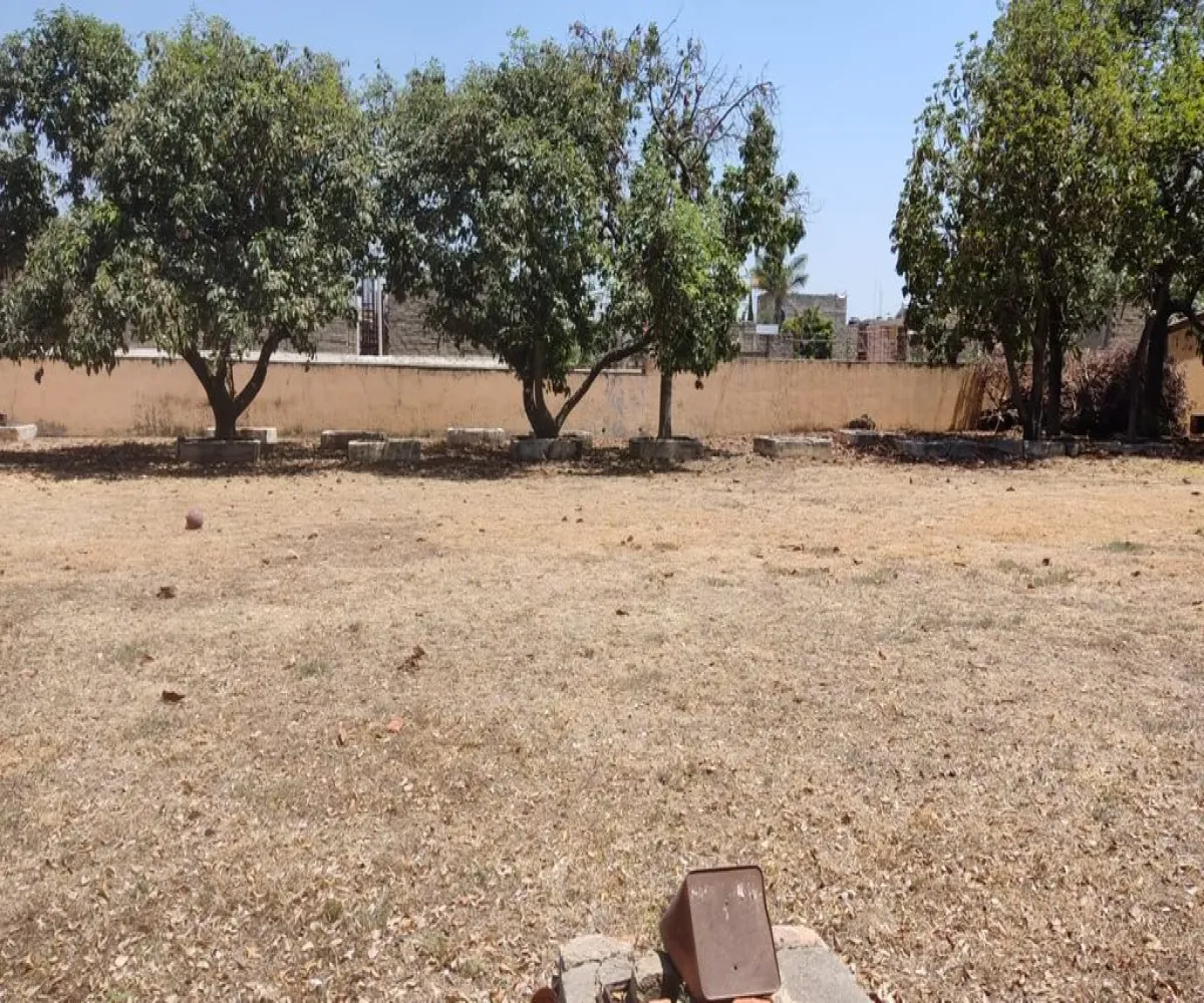 Terreno En Venta,El Zalate,Roberto Weeks 925, Guadalajara, Jalisco 44760,Roberto Weeks,1,pc6GGYK