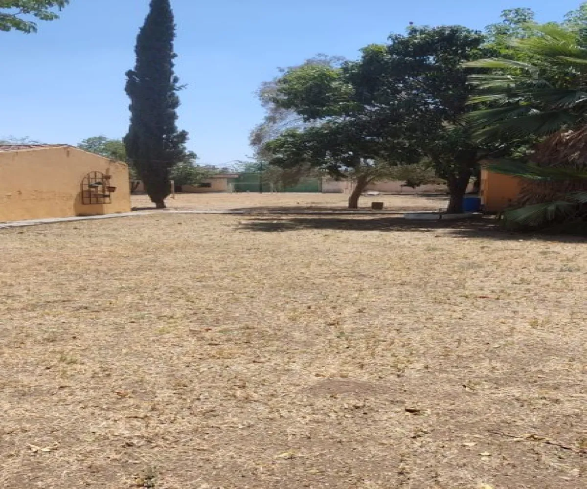 Terreno En Venta,El Zalate,Roberto Weeks 925, Guadalajara, Jalisco 44760,Roberto Weeks,1,pc6GGYK