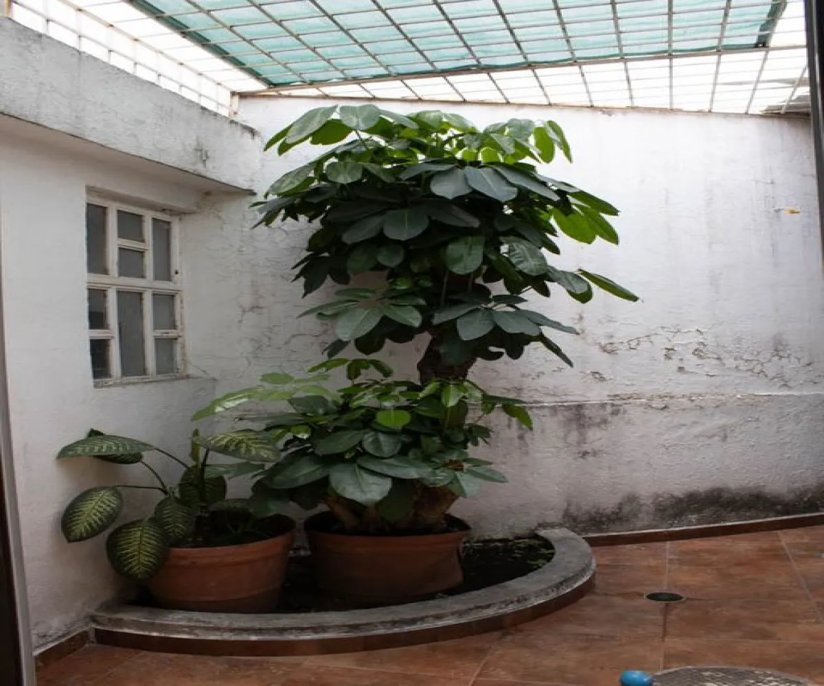 Casa En Venta,Colli C.T.M.,VOLCAN ETNA 2725, Zapopan, Jalisco 45056, 3 Habitaciones,3 Baños,VOLCAN ETNA,2,prW7L4l