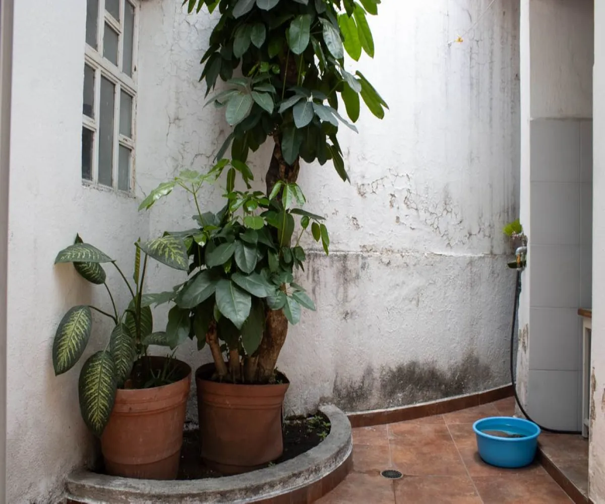 Casa En Venta,Colli C.T.M.,VOLCAN ETNA 2725, Zapopan, Jalisco 45056, 3 Habitaciones,3 Baños,VOLCAN ETNA,2,prW7L4l