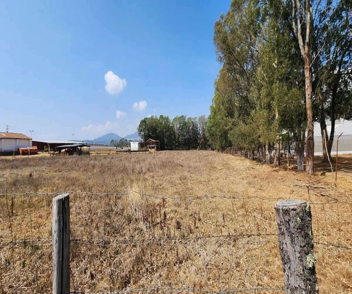 Terreno En Venta,San Antonio,Carretera Tapalpa-Guadalajara S/N, Tapalpa, Jalisco 49340,Carretera Tapalpa-Guadalajara,pOOaLsz