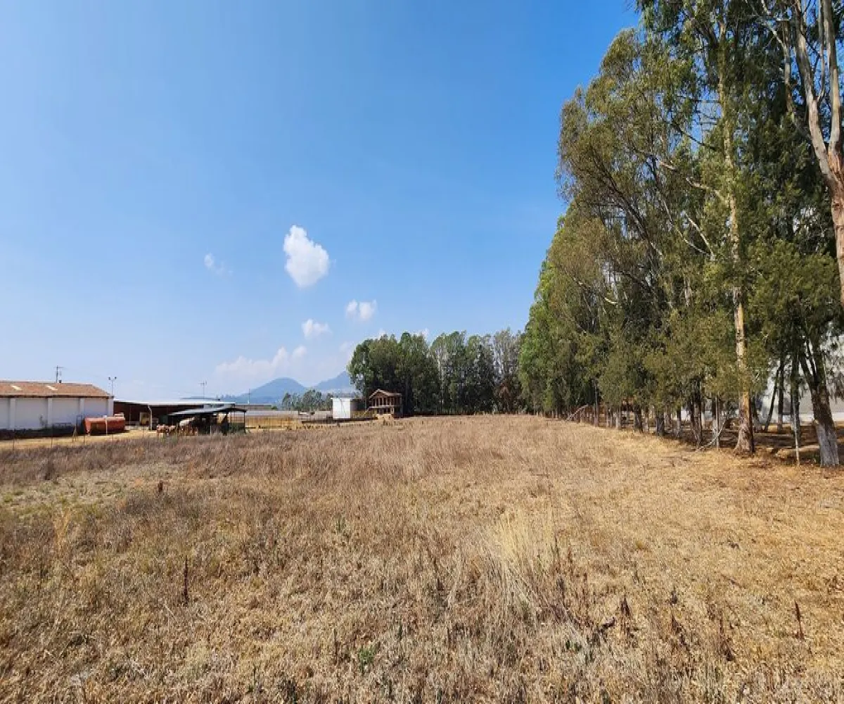 Terreno En Venta,San Antonio,Carretera Tapalpa-Guadalajara S/N, Tapalpa, Jalisco 49340,Carretera Tapalpa-Guadalajara,pOOaLsz