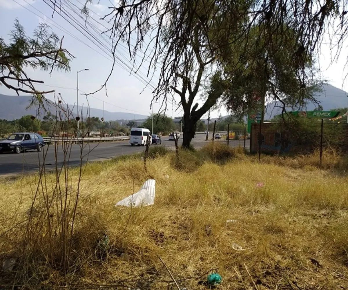 Terreno En Renta,Tlajomulco Centro,Jesús Michel González S/N S/N, Tlajomulco de Zúñiga, Jalisco 45640,Jesús Michel González S/N,pTmuRoE Terreno En Renta,Tlajomulco Centro,Jesús Michel González S/N S/N, Tlajomulco de Zúñiga, Jalisco 45640,Jesús Michel González S/N,pTmuRoE