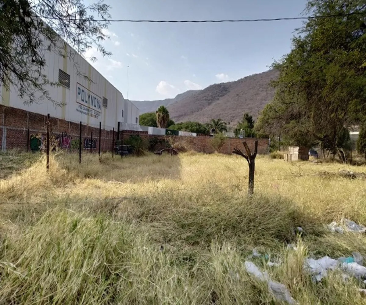 Terreno En Renta,Tlajomulco Centro,Jesús Michel González S/N S/N, Tlajomulco de Zúñiga, Jalisco 45640,Jesús Michel González S/N,pTmuRoE Terreno En Renta,Tlajomulco Centro,Jesús Michel González S/N S/N, Tlajomulco de Zúñiga, Jalisco 45640,Jesús Michel González S/N,pTmuRoE