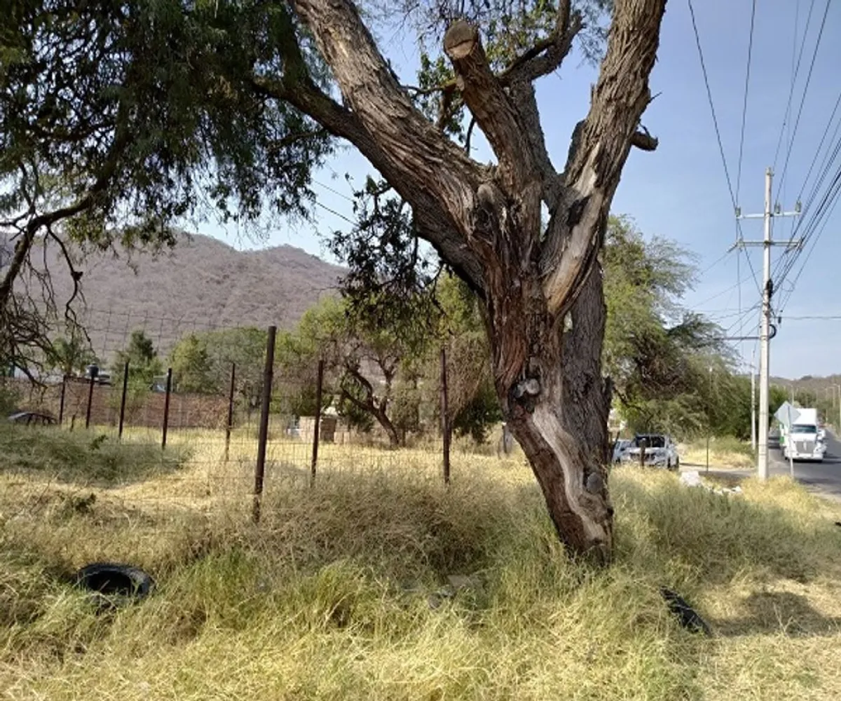 Terreno En Renta,Tlajomulco Centro,Jesús Michel González S/N S/N, Tlajomulco de Zúñiga, Jalisco 45640,Jesús Michel González S/N,pTmuRoE Terreno En Renta,Tlajomulco Centro,Jesús Michel González S/N S/N, Tlajomulco de Zúñiga, Jalisco 45640,Jesús Michel González S/N,pTmuRoE