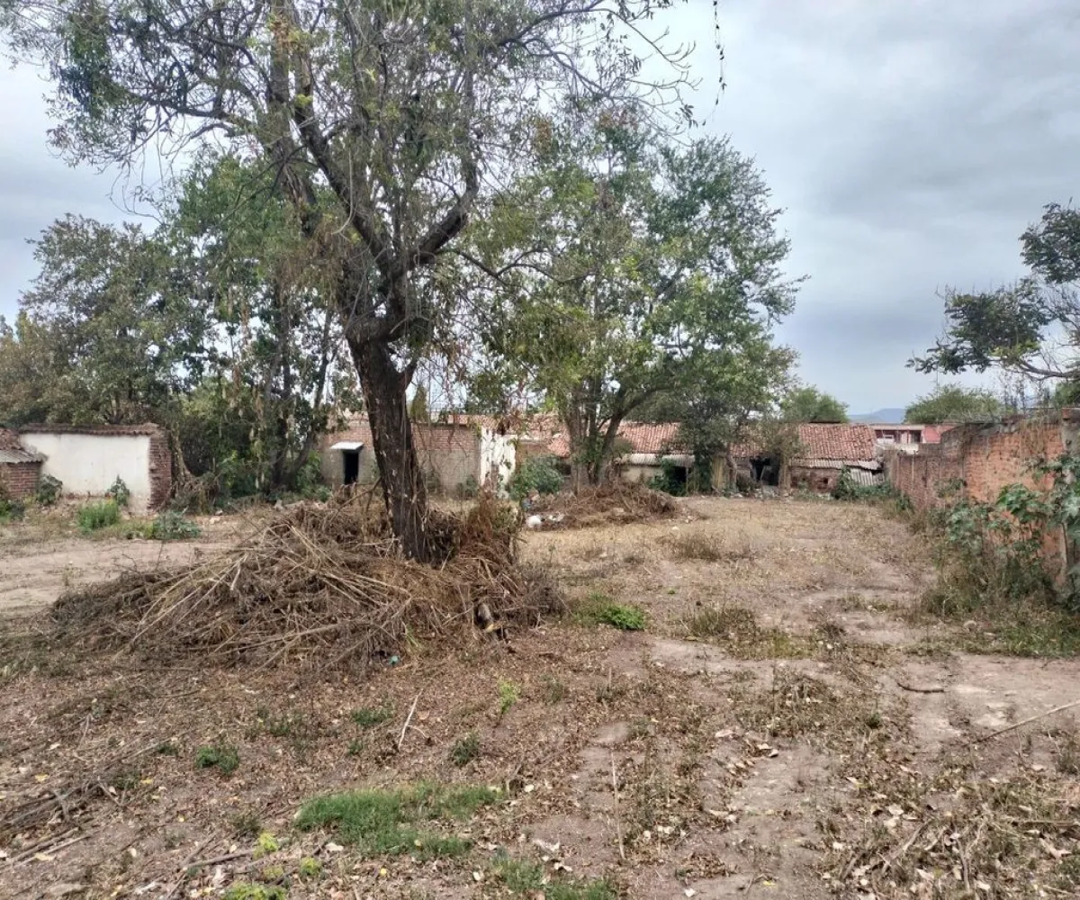 Terreno En Venta,Ahualulco de Mercado Centro,Degollado 229, Ahualulco de Mercado, Jalisco 46730,Degollado ,pqwIFtF