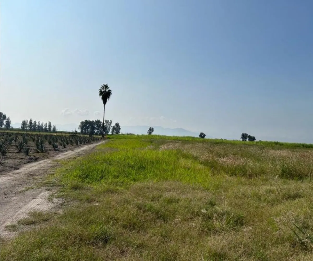 Terreno En Venta,El Refugio,674 S/N, Tala, Jalisco 45310,674,pd6BgGe Terreno En Venta,El Refugio,674 S/N, Tala, Jalisco 45310,674,pd6BgGe