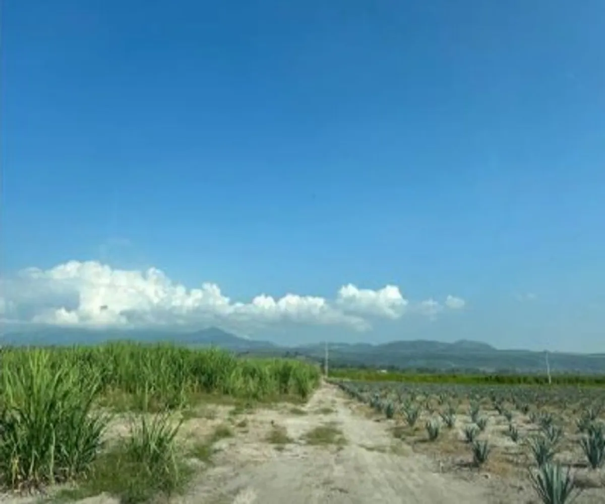 Terreno En Venta,El Refugio,674 S/N, Tala, Jalisco 45310,674,pd6BgGe Terreno En Venta,El Refugio,674 S/N, Tala, Jalisco 45310,674,pd6BgGe