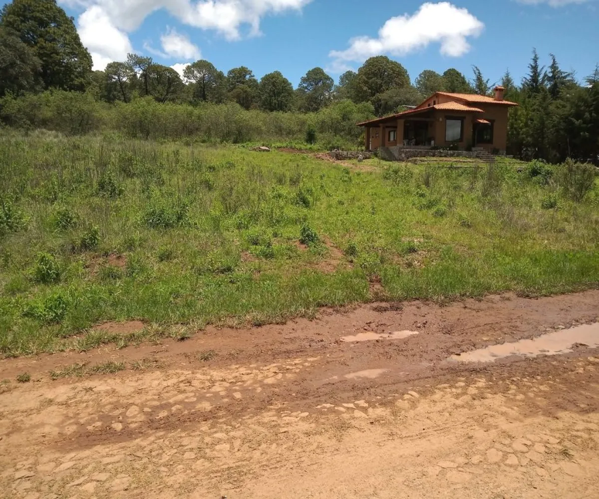 Terreno En Venta,Punta de Agua,Carretera Guadalajara - Tapalpa S/N, Tapalpa, Jalisco 49355,Carretera Guadalajara - Tapalpa,pVwLxwF