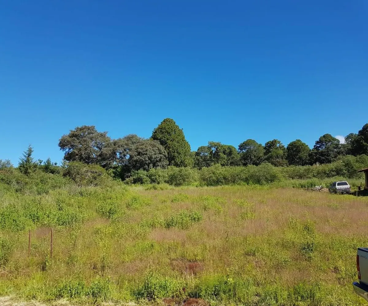Terreno En Venta,Punta de Agua,Carretera Guadalajara - Tapalpa S/N, Tapalpa, Jalisco 49355,Carretera Guadalajara - Tapalpa,pVwLxwF