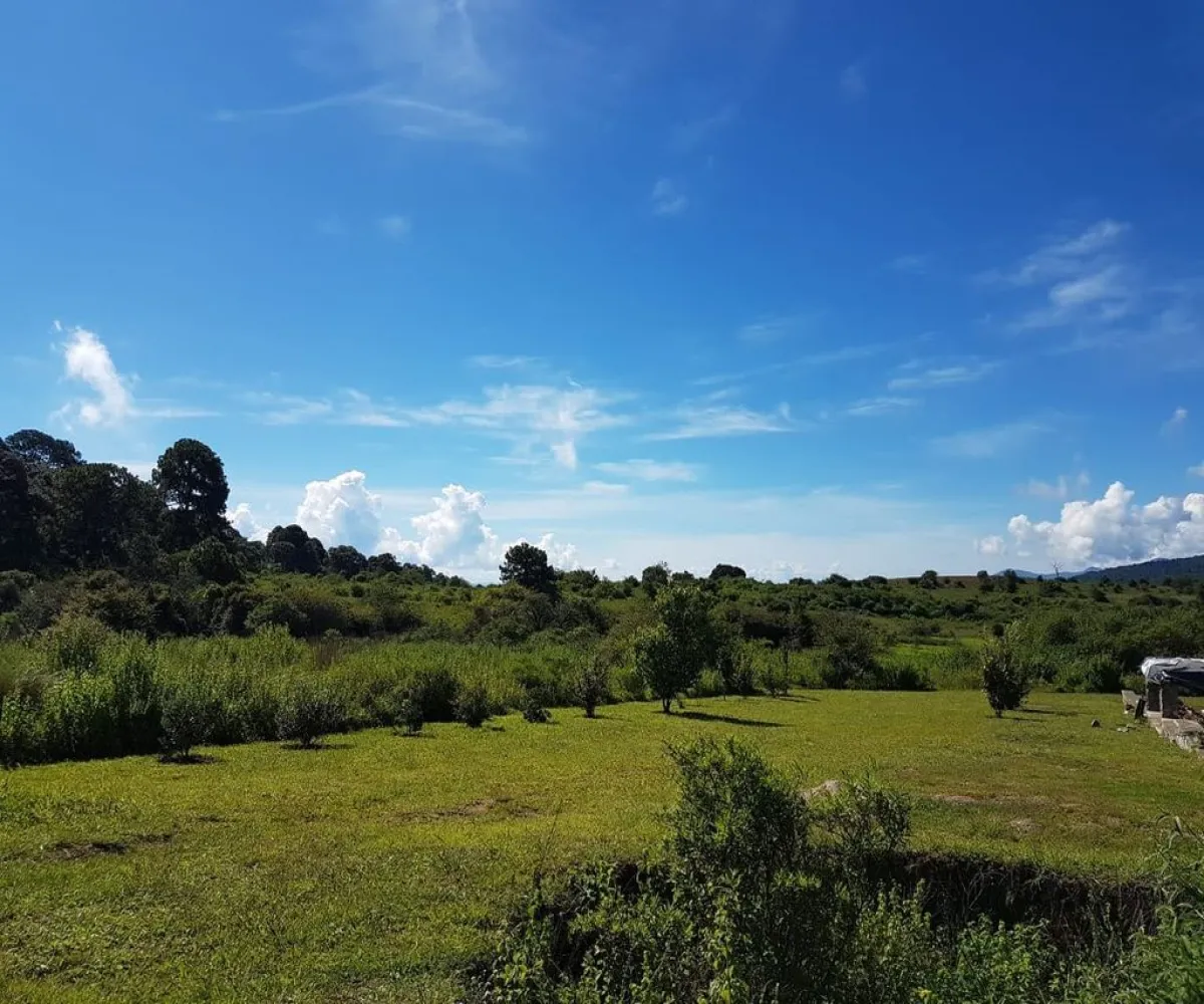 Terreno En Venta,Punta de Agua,Carretera Guadalajara - Tapalpa S/N, Tapalpa, Jalisco 49355,Carretera Guadalajara - Tapalpa,pVwLxwF