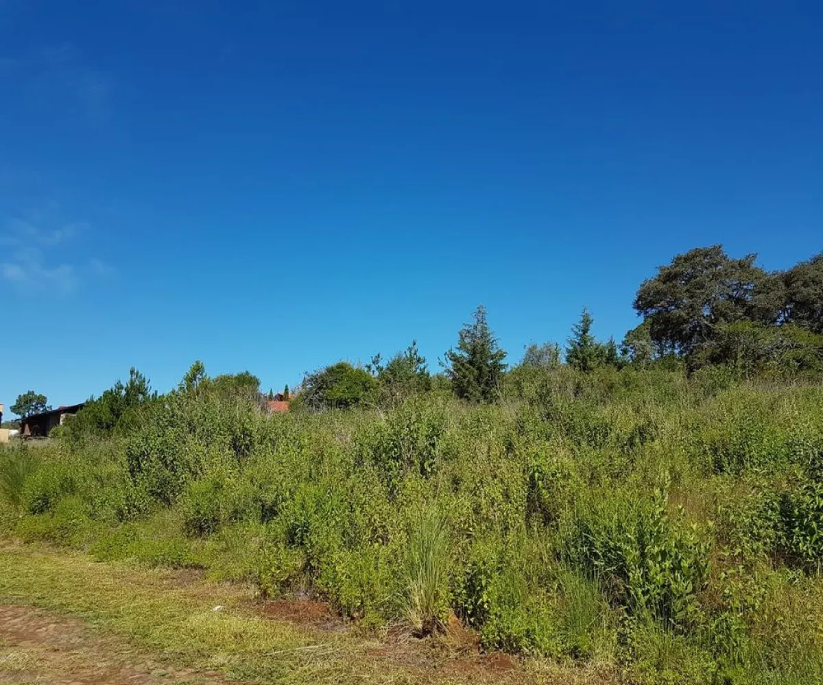 Terreno En Venta,Punta de Agua,Carretera Guadalajara - Tapalpa S/N, Tapalpa, Jalisco 49355,Carretera Guadalajara - Tapalpa,pVwLxwF