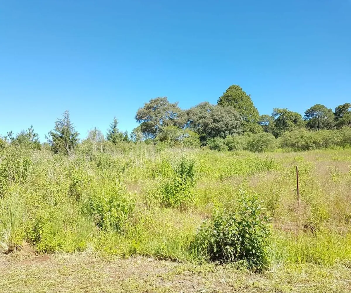 Terreno En Venta,Punta de Agua,Carretera Guadalajara - Tapalpa S/N, Tapalpa, Jalisco 49355,Carretera Guadalajara - Tapalpa,pVwLxwF