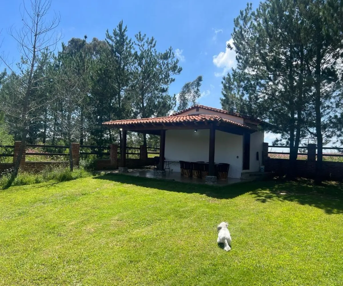 Casa En Venta,Tapalpa,Camino a Rincón de los Pastores S/N, Tapalpa, Jalisco 49340, 5 Habitaciones,5 Baños,Camino a Rincón de los Pastores,2,pMGKtZW