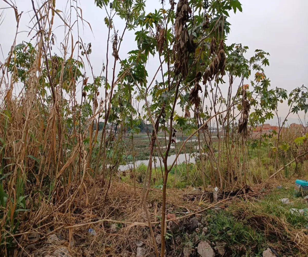Terreno En Venta,La Ladrillera,Paseo de la Paz S/N, San Pedro Tlaquepaque, Jalisco 45590,Paseo de la Paz,pBxHXNj Terreno En Venta,La Ladrillera,Paseo de la Paz S/N, San Pedro Tlaquepaque, Jalisco 45590,Paseo de la Paz,pBxHXNj