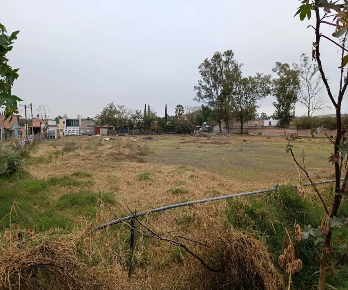Terreno En Venta,La Ladrillera,Paseo de la Paz S/N, San Pedro Tlaquepaque, Jalisco 45590,Paseo de la Paz,pBxHXNj Terreno En Venta,La Ladrillera,Paseo de la Paz S/N, San Pedro Tlaquepaque, Jalisco 45590,Paseo de la Paz,pBxHXNj