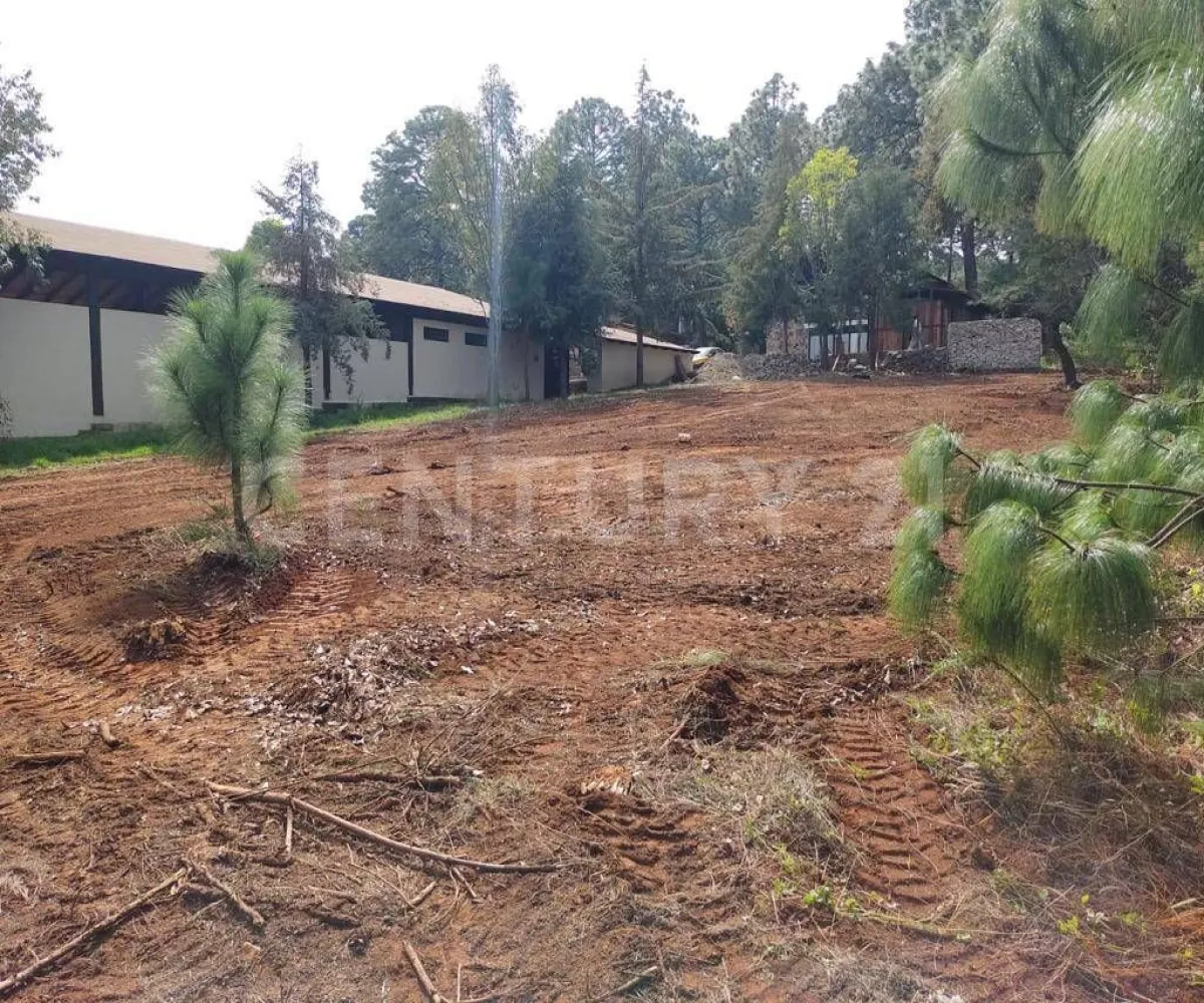 Terreno En Venta,Atemajac de Brizuela,Bosque el manto Mz 10 Lt 16, Atemajac de Brizuela, Jalisco 45790,Bosque el manto,paRtBLw