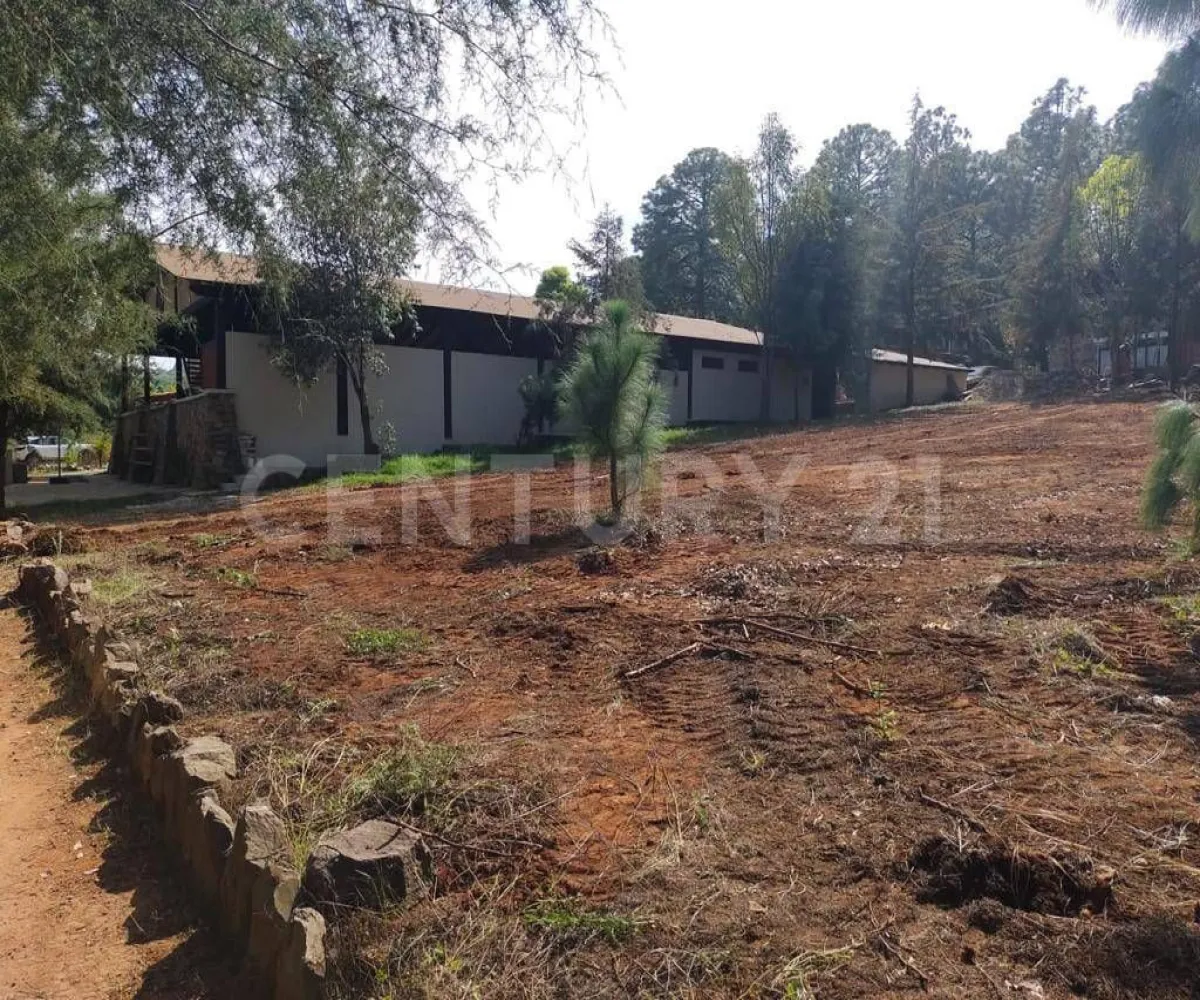 Terreno En Venta,Atemajac de Brizuela,Bosque el manto Mz 10 Lt 16, Atemajac de Brizuela, Jalisco 45790,Bosque el manto,paRtBLw