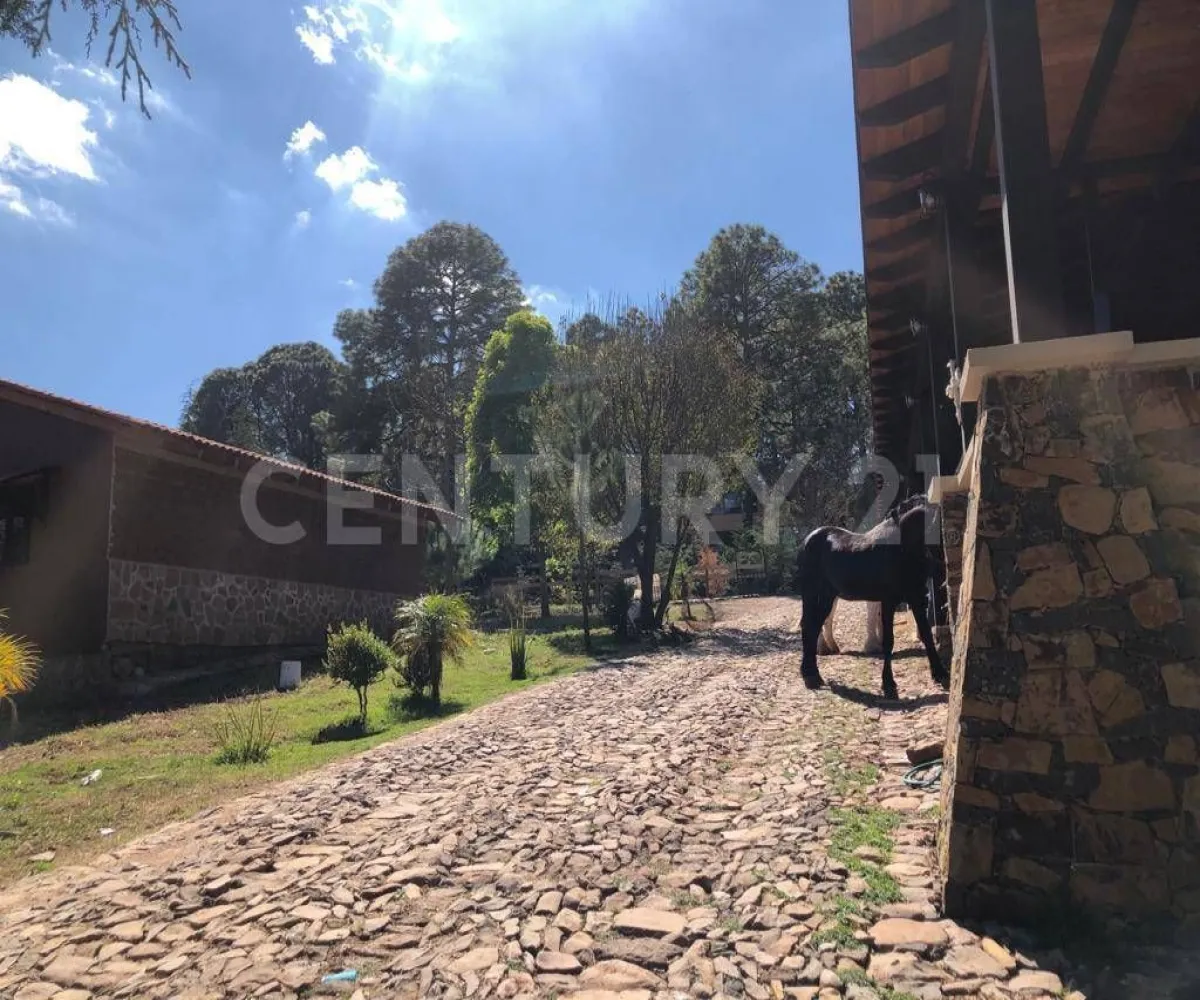 Terreno En Venta,Atemajac de Brizuela,Bosque el manto Mz 10 Lt 16, Atemajac de Brizuela, Jalisco 45790,Bosque el manto,paRtBLw