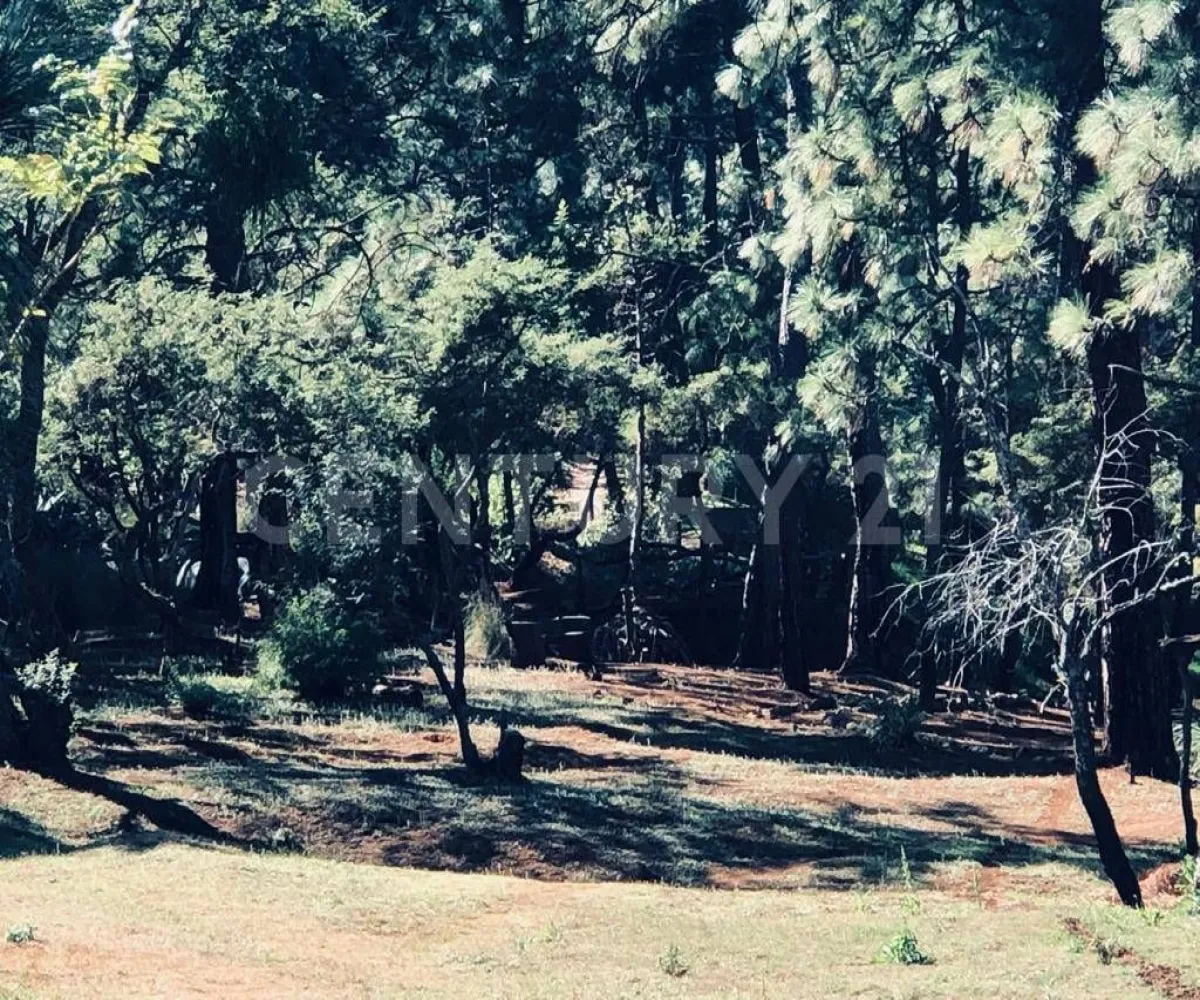 Terreno En Venta,Atemajac de Brizuela,Bosque el manto Mz 10 Lt 16, Atemajac de Brizuela, Jalisco 45790,Bosque el manto,paRtBLw