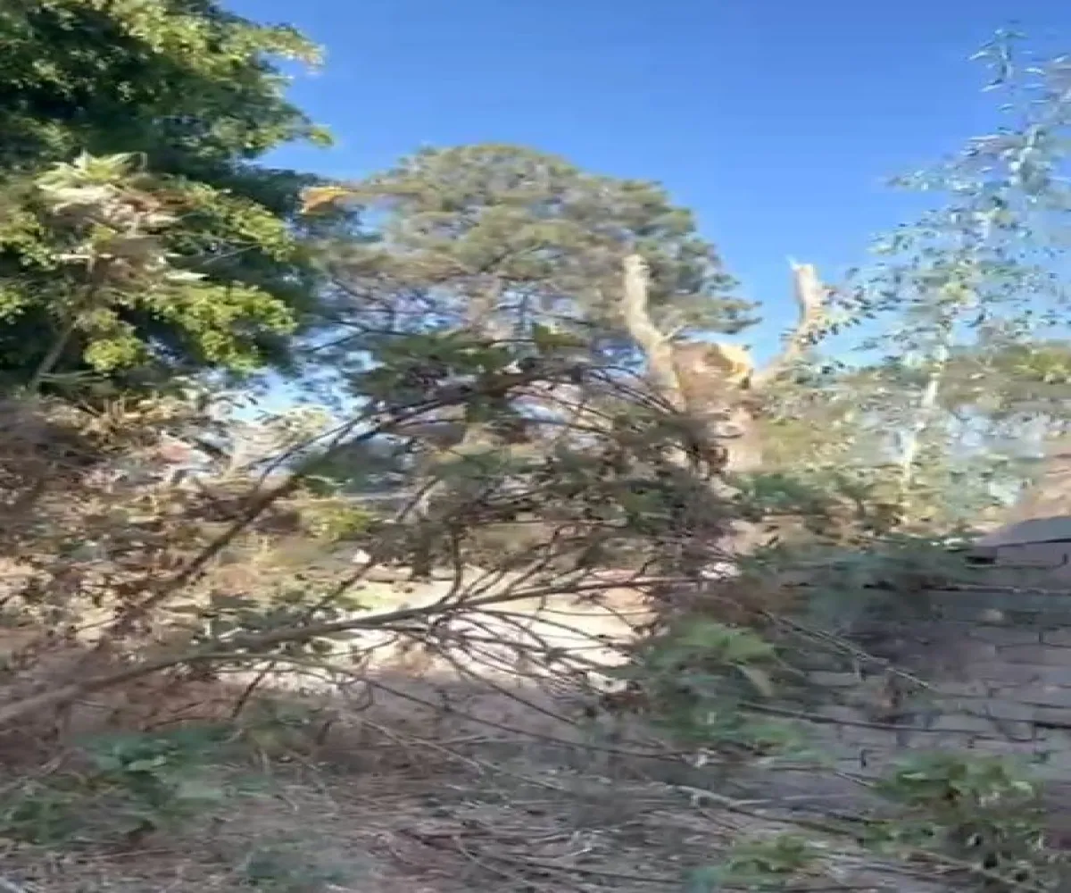 Terreno En Venta,Granja,Calzada Norte 128, Zapopan, Jalisco 45010,Calzada Norte,pZRfmqW