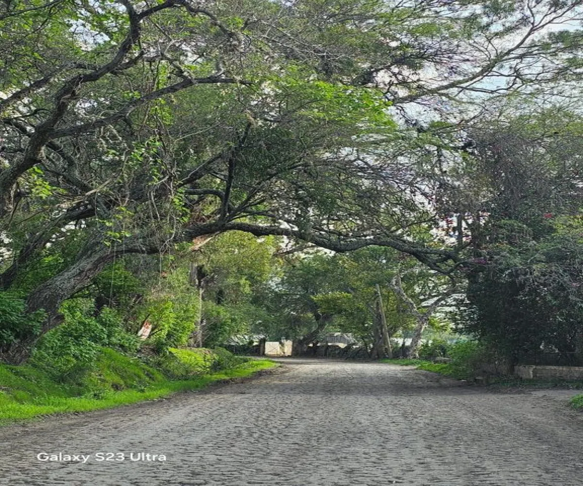 Terreno En Venta,Roca Azul,Avenida Carpa 6, Jocotepec, Jalisco 45800,Avenida Carpa,pWVArIu