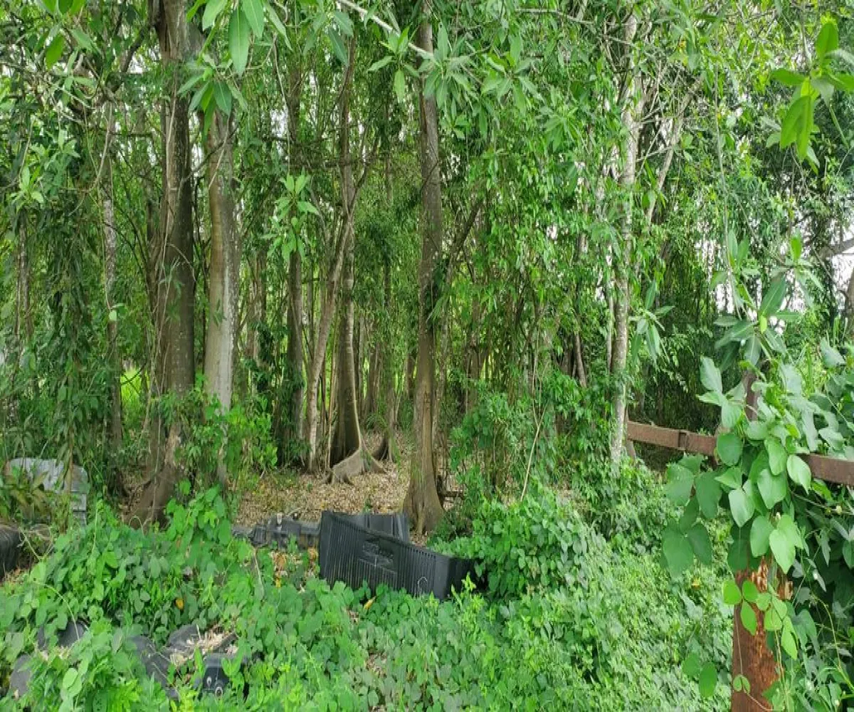 Terreno En Venta,Rincon De Guayabitos,Puente la Peñita III 63724, Compostela, Nayarit 63724,Puente la Peñita III,pR31jVF Terreno En Venta,Rincon De Guayabitos,Puente la Peñita III 63724, Compostela, Nayarit 63724,Puente la Peñita III,pR31jVF