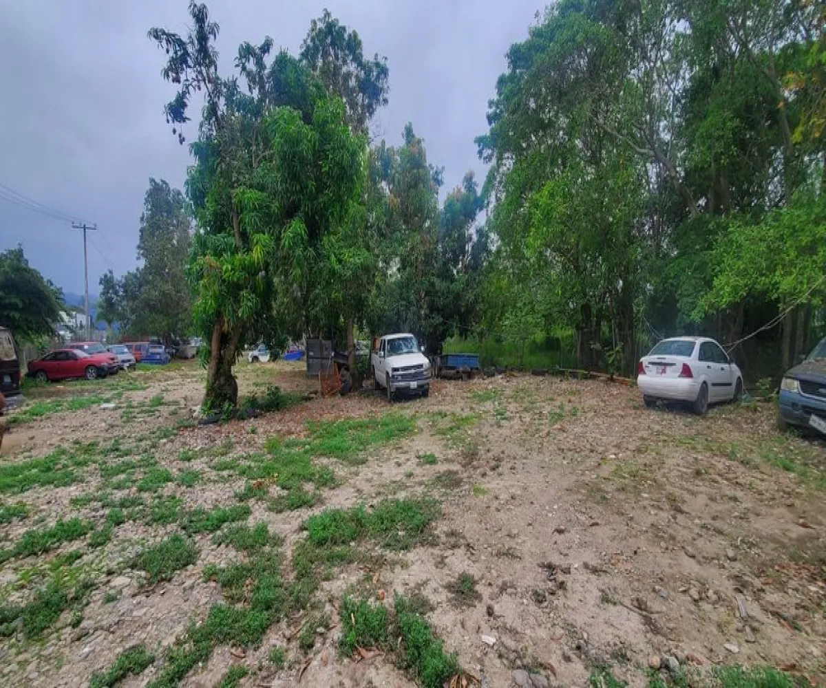 Terreno En Venta,Rincon De Guayabitos,Puente la Peñita III 63724, Compostela, Nayarit 63724,Puente la Peñita III,pR31jVF Terreno En Venta,Rincon De Guayabitos,Puente la Peñita III 63724, Compostela, Nayarit 63724,Puente la Peñita III,pR31jVF