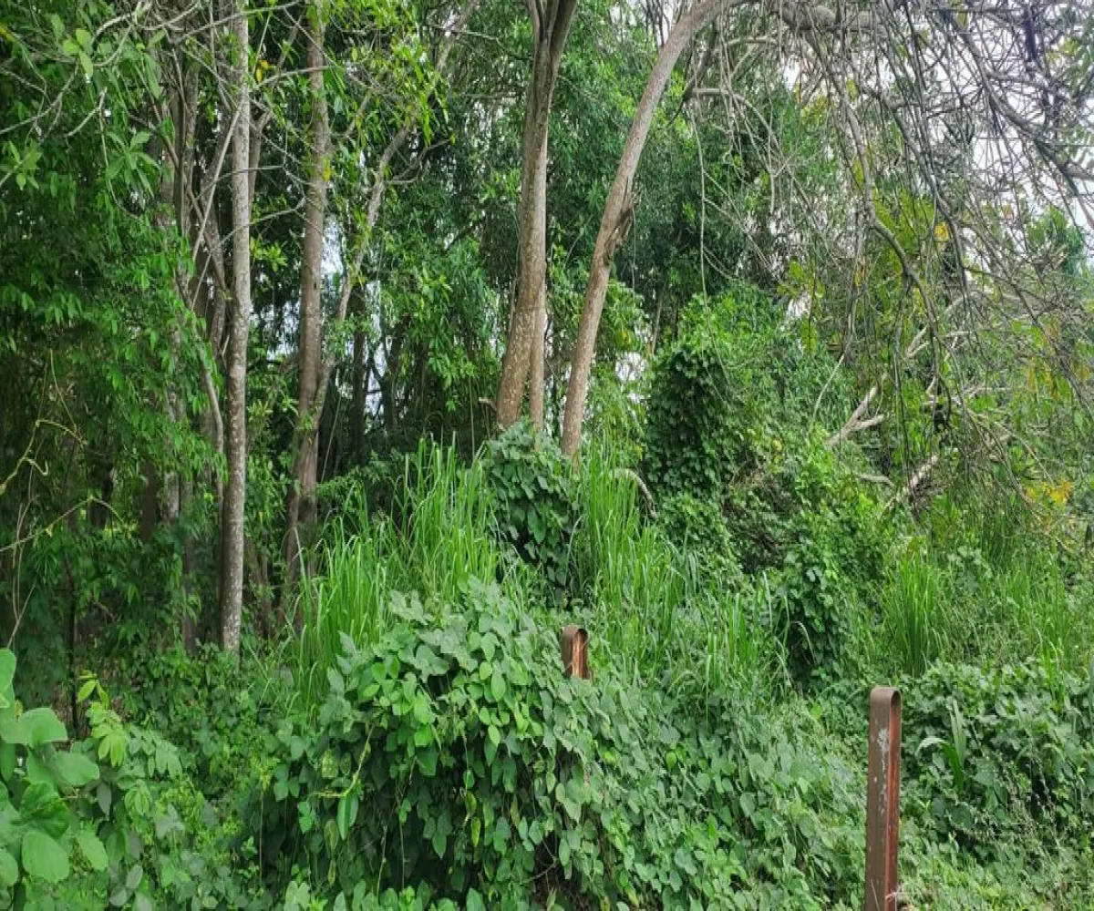 Terreno En Venta,Rincon De Guayabitos,Puente la Peñita III 63724, Compostela, Nayarit 63724,Puente la Peñita III,pR31jVF Terreno En Venta,Rincon De Guayabitos,Puente la Peñita III 63724, Compostela, Nayarit 63724,Puente la Peñita III,pR31jVF