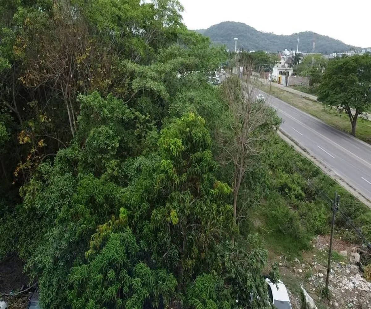Terreno En Venta,Rincon De Guayabitos,Puente la Peñita III 63724, Compostela, Nayarit 63724,Puente la Peñita III,pR31jVF Terreno En Venta,Rincon De Guayabitos,Puente la Peñita III 63724, Compostela, Nayarit 63724,Puente la Peñita III,pR31jVF