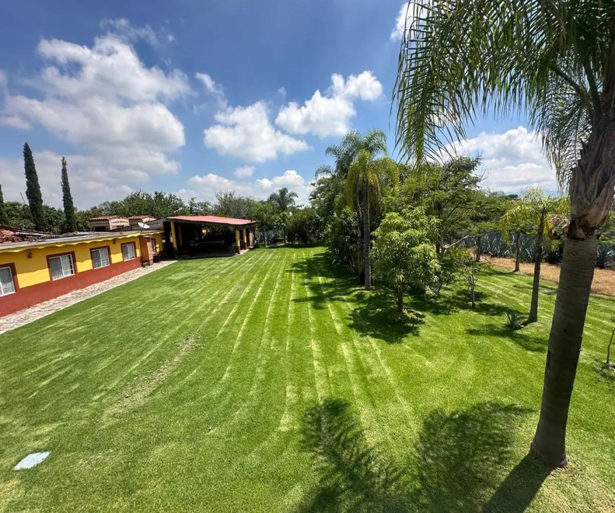 Terreno En Venta,Buenavista,Francisco Villa S/N, Ixtlahuacán de los Membrillos, Jalisco 45850,Francisco Villa,pB5likH