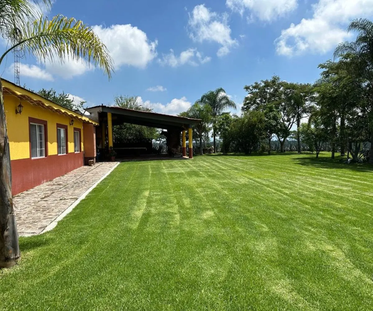 Terreno En Venta,Buenavista,Francisco Villa S/N, Ixtlahuacán de los Membrillos, Jalisco 45850,Francisco Villa,pB5likH