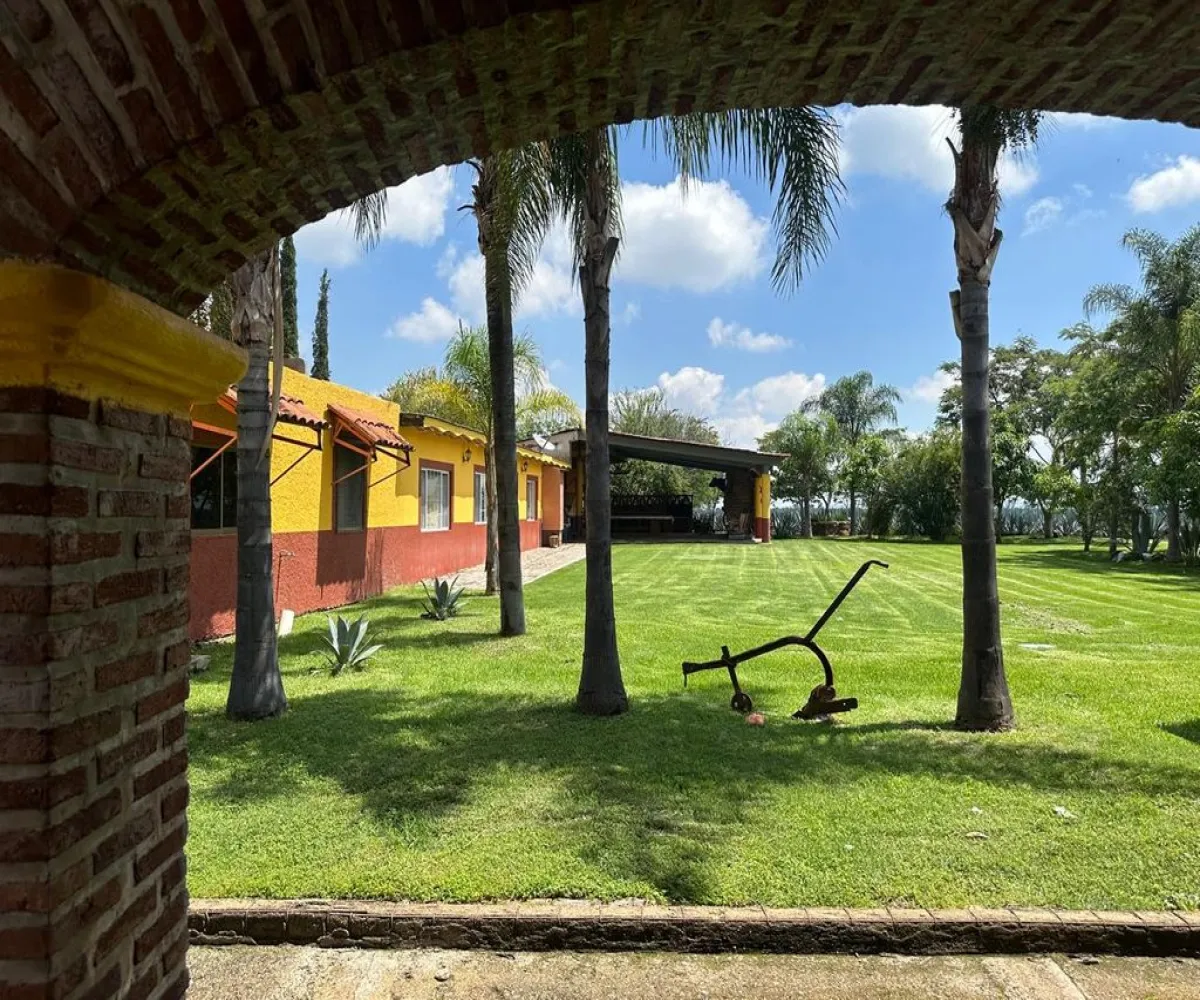 Terreno En Venta,Buenavista,Francisco Villa S/N, Ixtlahuacán de los Membrillos, Jalisco 45850,Francisco Villa,pB5likH