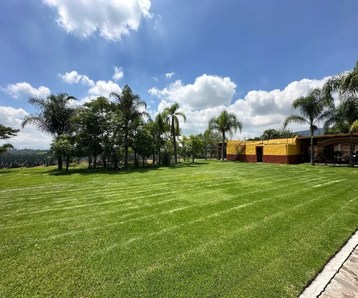 Terreno En Venta,Buenavista,Francisco Villa S/N, Ixtlahuacán de los Membrillos, Jalisco 45850,Francisco Villa,pB5likH